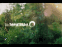 Паутина
